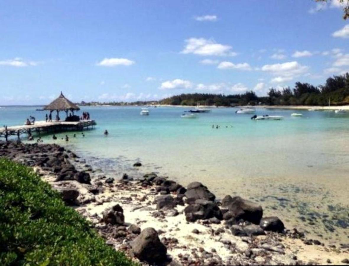 La Case Bois Creole Albion Dış mekan fotoğraf